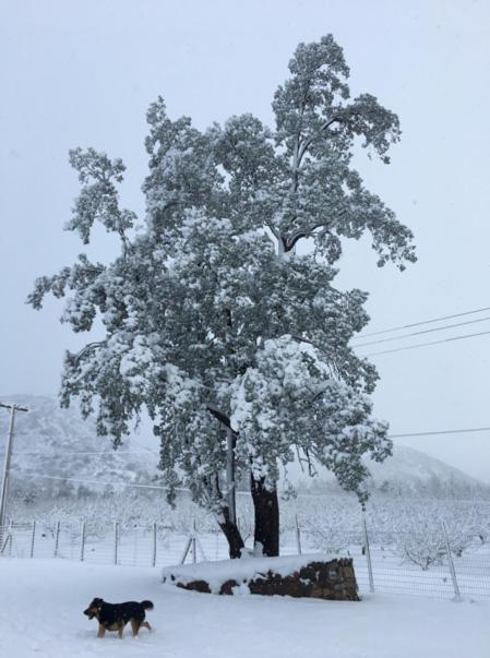 Posada Del Jinete San José de Maipo Eksteriør billede